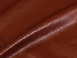 Pegas (brick)